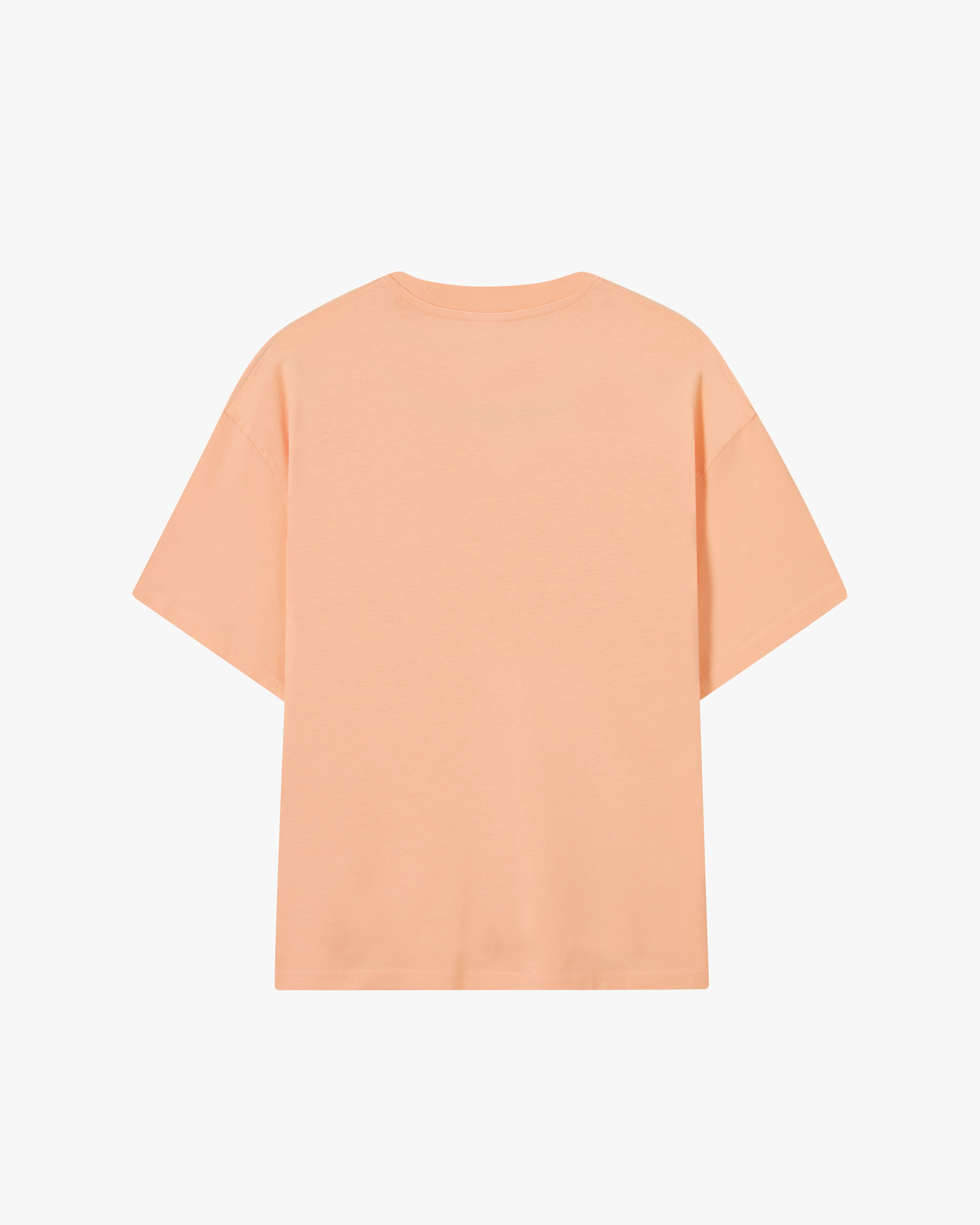 Basic Tee Salmon/Ash/Pink 3Xpack